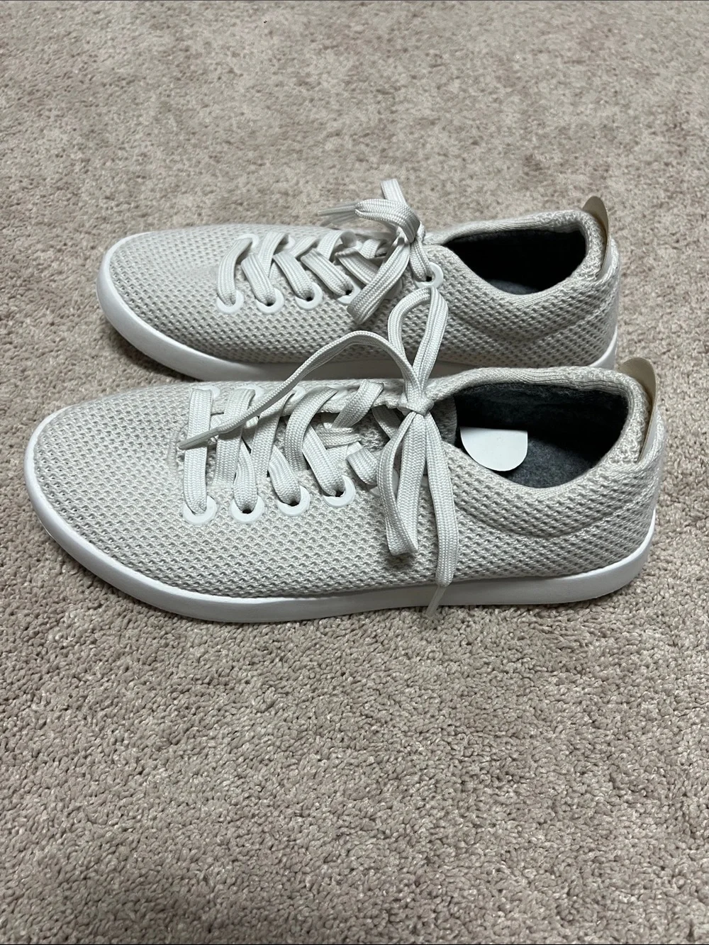 Allbirds Cruiser sneakers
